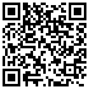 手机/微信访问网站